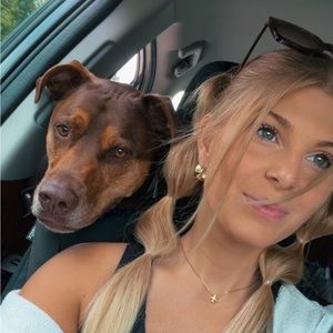 Meet your Posher, Sydney